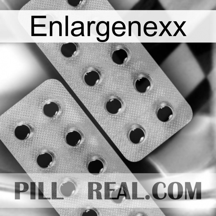 Enlargenexx 29